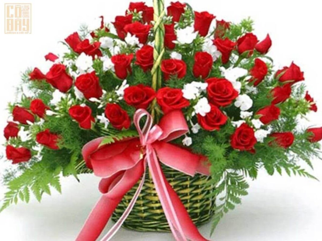 Bánh khô mè Quang Châu Cô Đây