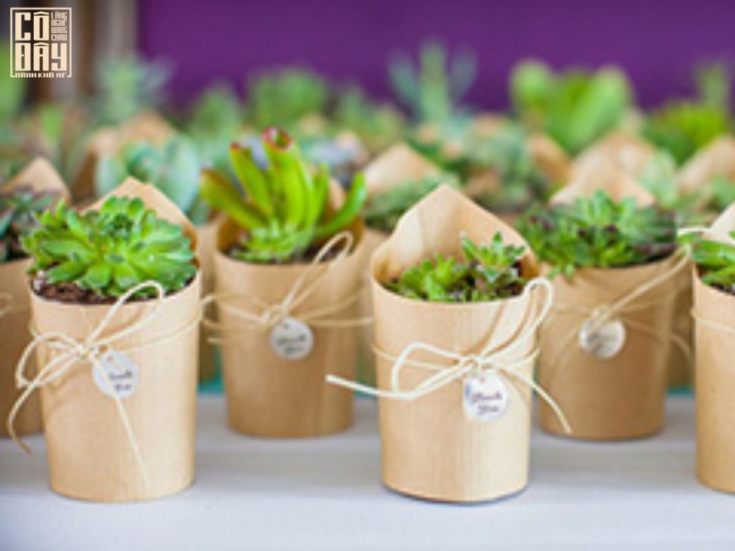 Bánh khô mè Quang Châu Cô Đây