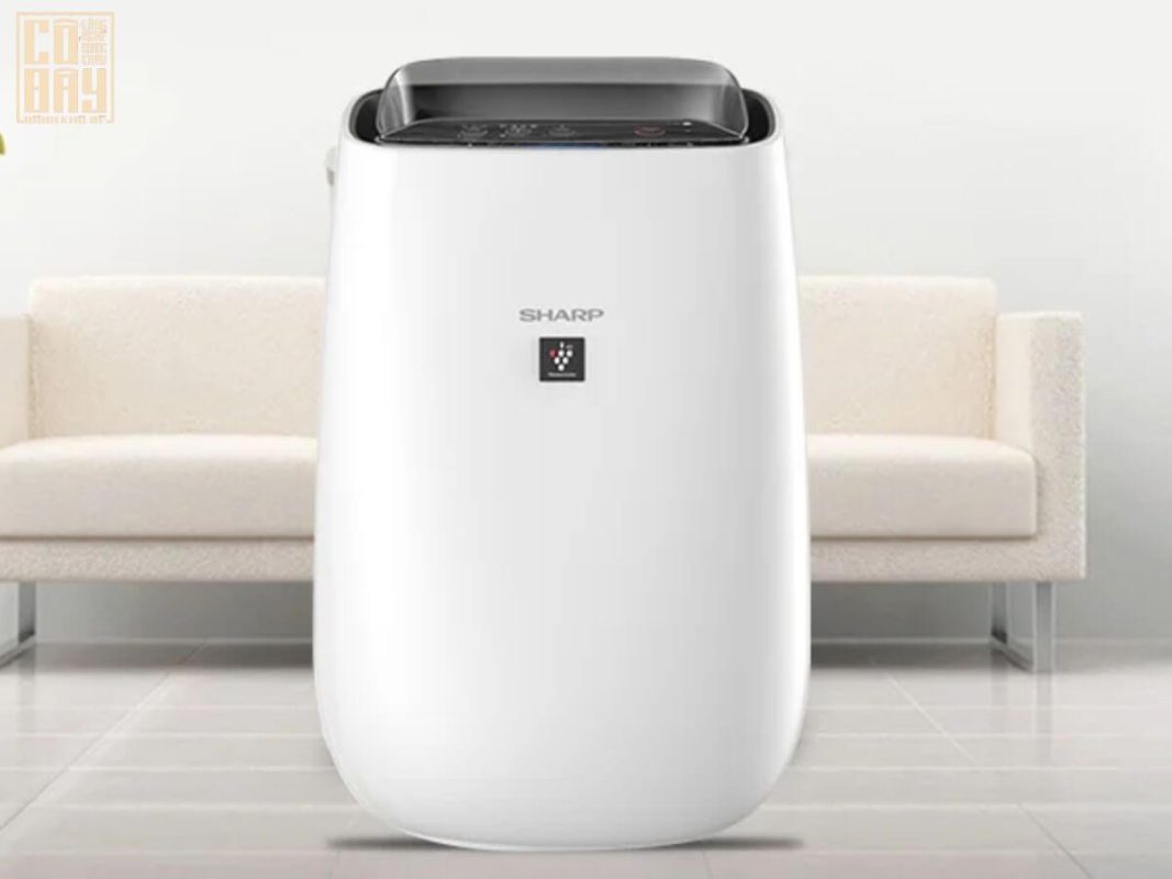 Bánh khô mè Quang Châu Cô Đây